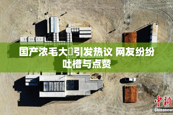 国产浓毛大泬引发热议 网友纷纷吐槽与点赞