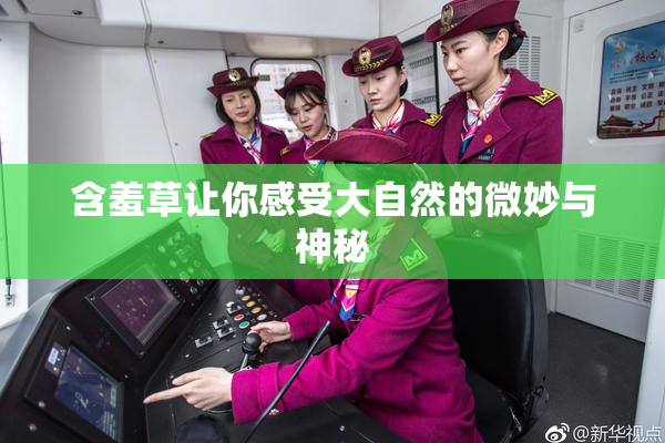 含羞草让你感受大自然的微妙与神秘