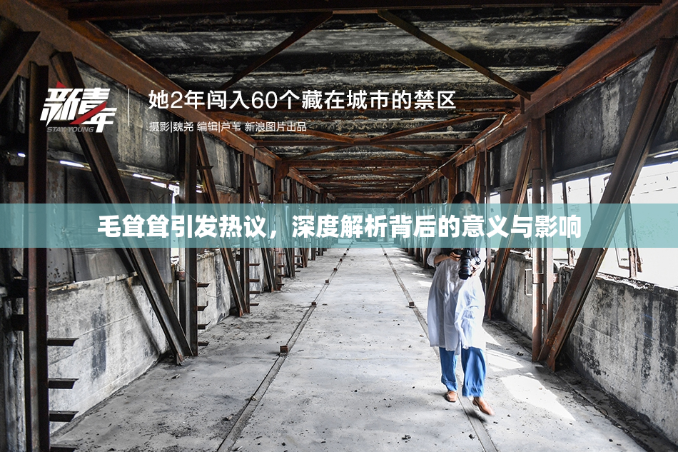 毛耸耸引发热议，深度解析背后的意义与影响
