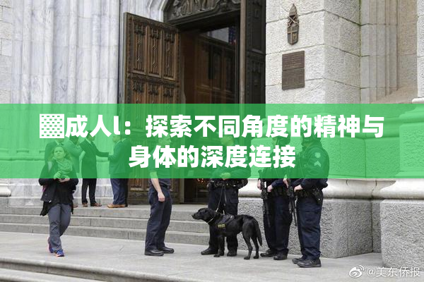 ▓成人l：探索不同角度的精神与身体的深度连接