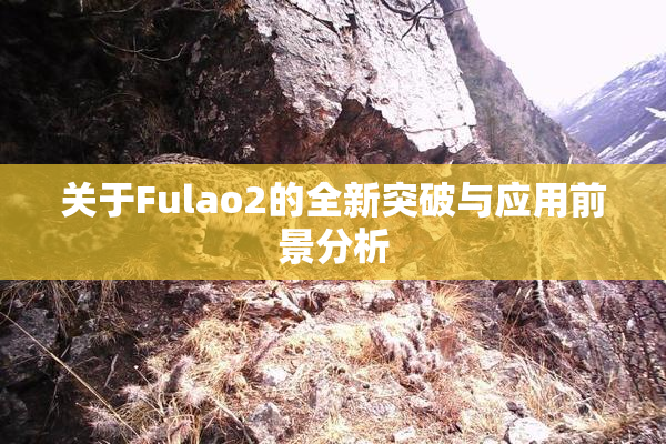 关于Fulao2的全新突破与应用前景分析
