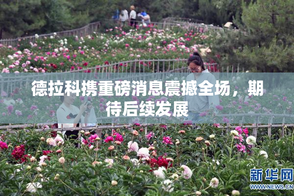 德拉科携重磅消息震撼全场，期待后续发展