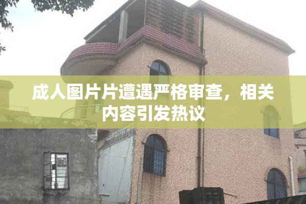 成人图片片遭遇严格审查，相关内容引发热议