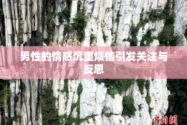 男性的情感沉重烦恼引发关注与反思