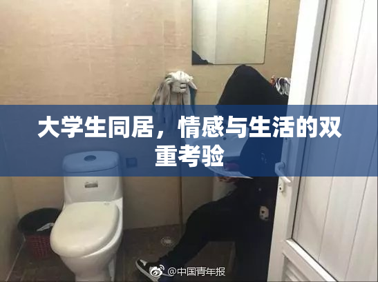 大学生同居，情感与生活的双重考验