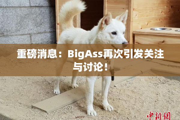 重磅消息：BigAss再次引发关注与讨论！