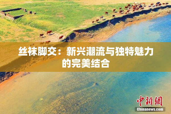 丝袜脚交：新兴潮流与独特魅力的完美结合