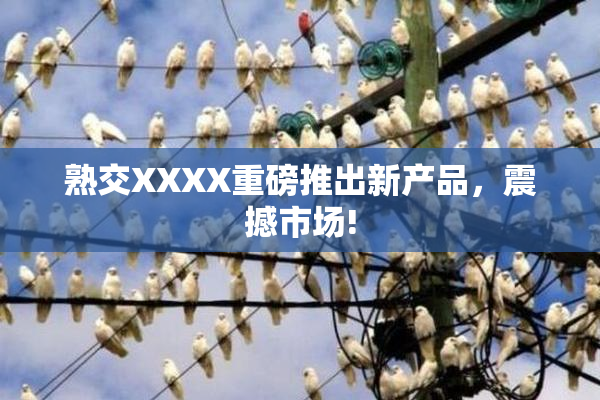 熟交XXXX重磅推出新产品，震撼市场!