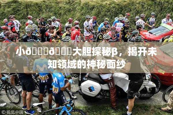 小🐔🐔大胆探秘β，揭开未知领域的神秘面纱