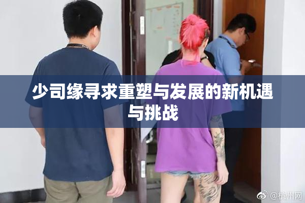 少司缘寻求重塑与发展的新机遇与挑战