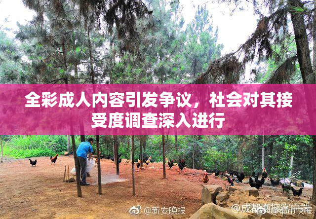 全彩成人内容引发争议，社会对其接受度调查深入进行