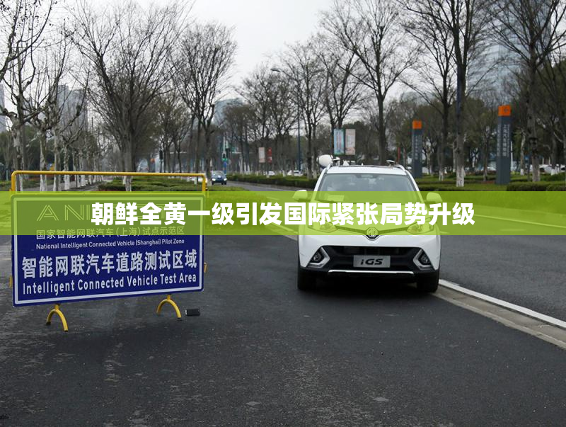 朝鲜全黄一级引发国际紧张局势升级