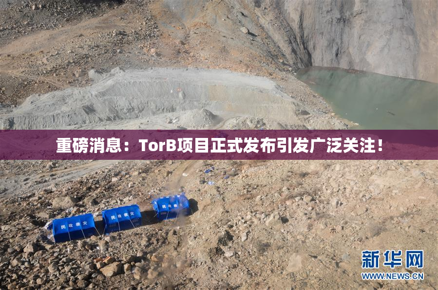 重磅消息：TorB项目正式发布引发广泛关注！