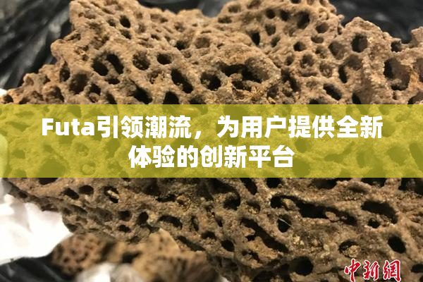 Futa引领潮流，为用户提供全新体验的创新平台