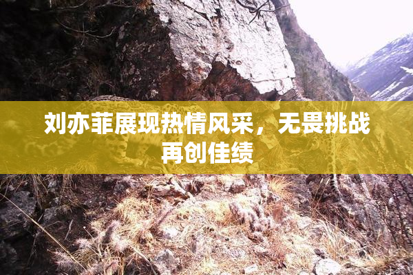 刘亦菲展现热情风采，无畏挑战再创佳绩