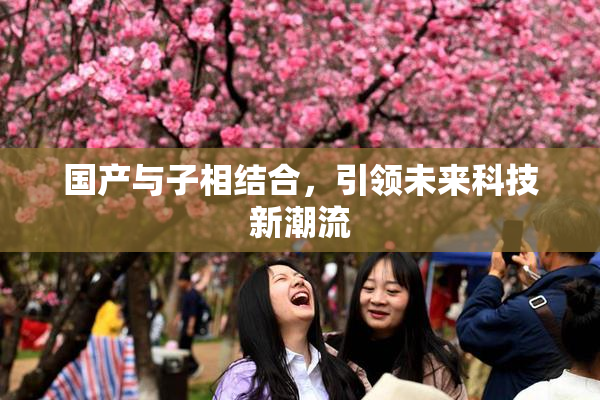 国产与子相结合，引领未来科技新潮流