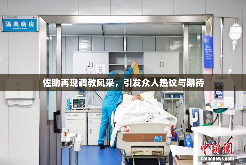 佐助再现调教风采，引发众人热议与期待