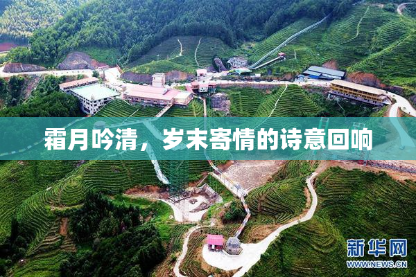 霜月吟清，岁末寄情的诗意回响
