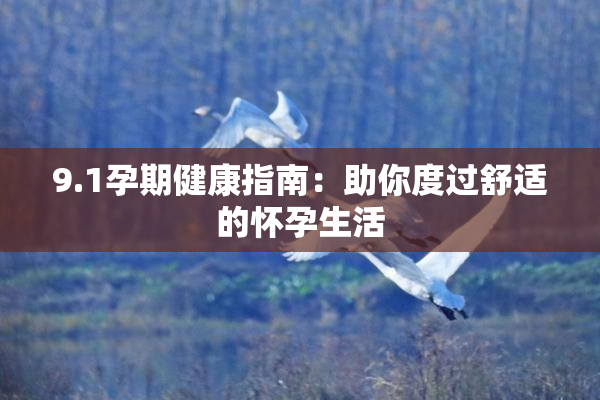 9.1孕期健康指南：助你度过舒适的怀孕生活