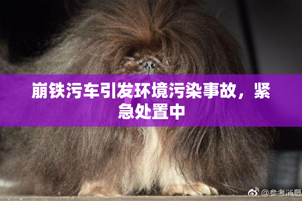 崩铁污车引发环境污染事故，紧急处置中