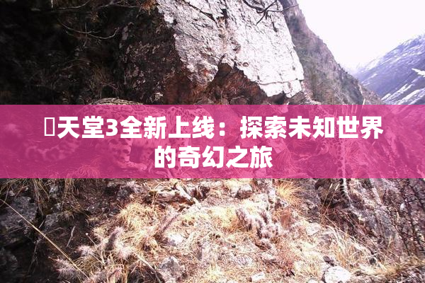 妺天堂3全新上线：探索未知世界的奇幻之旅