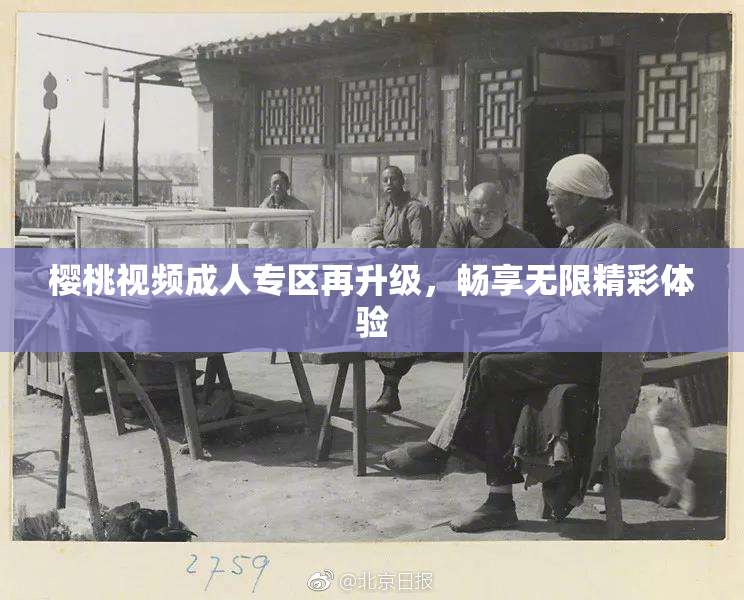 樱桃视频成人专区再升级，畅享无限精彩体验