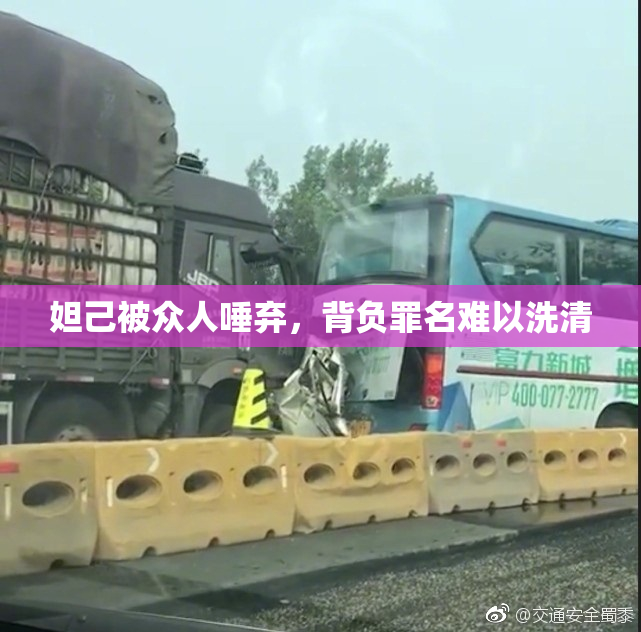 妲己被众人唾弃，背负罪名难以洗清