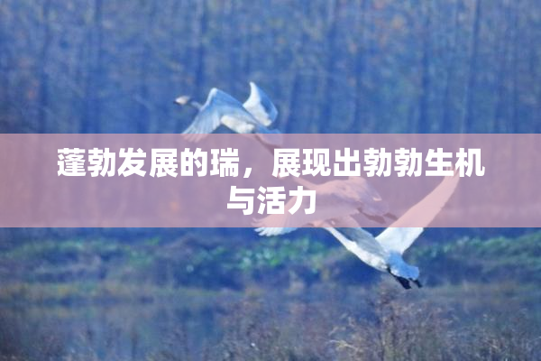 蓬勃发展的瑞，展现出勃勃生机与活力