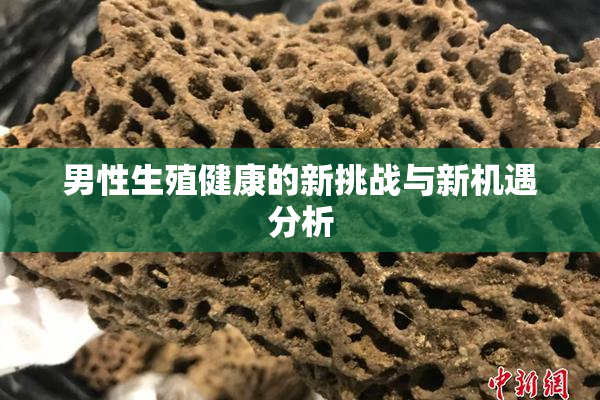 男性生殖健康的新挑战与新机遇分析