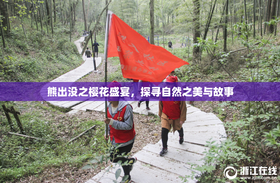 熊出没之樱花盛宴，探寻自然之美与故事