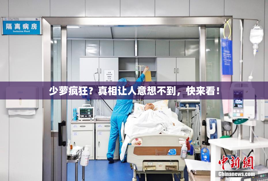 少萝疯狂？真相让人意想不到，快来看！