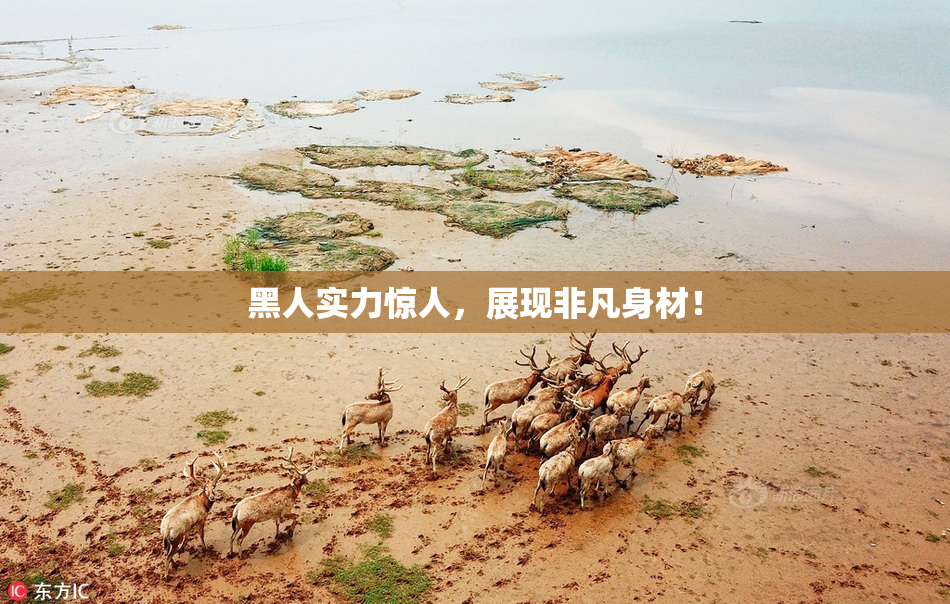 黑人实力惊人，展现非凡身材！