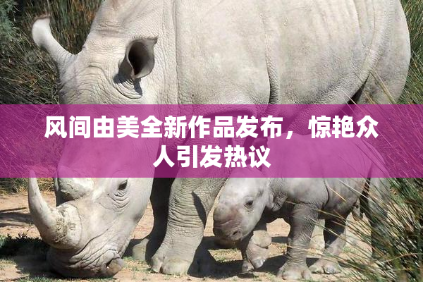风间由美全新作品发布，惊艳众人引发热议