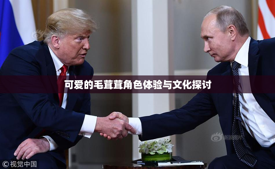 可爱的毛茸茸角色体验与文化探讨