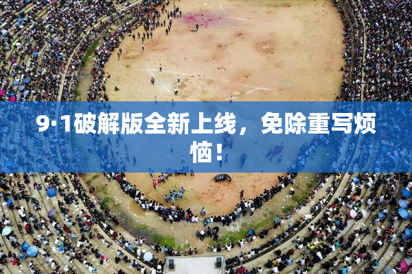 9·1破解版全新上线，免除重写烦恼！