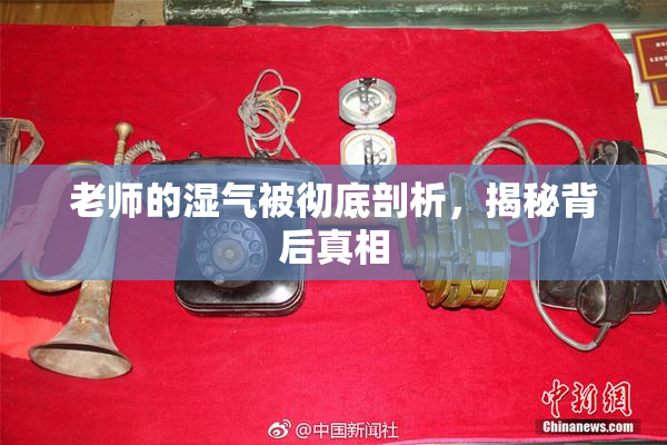 老师的湿气被彻底剖析，揭秘背后真相