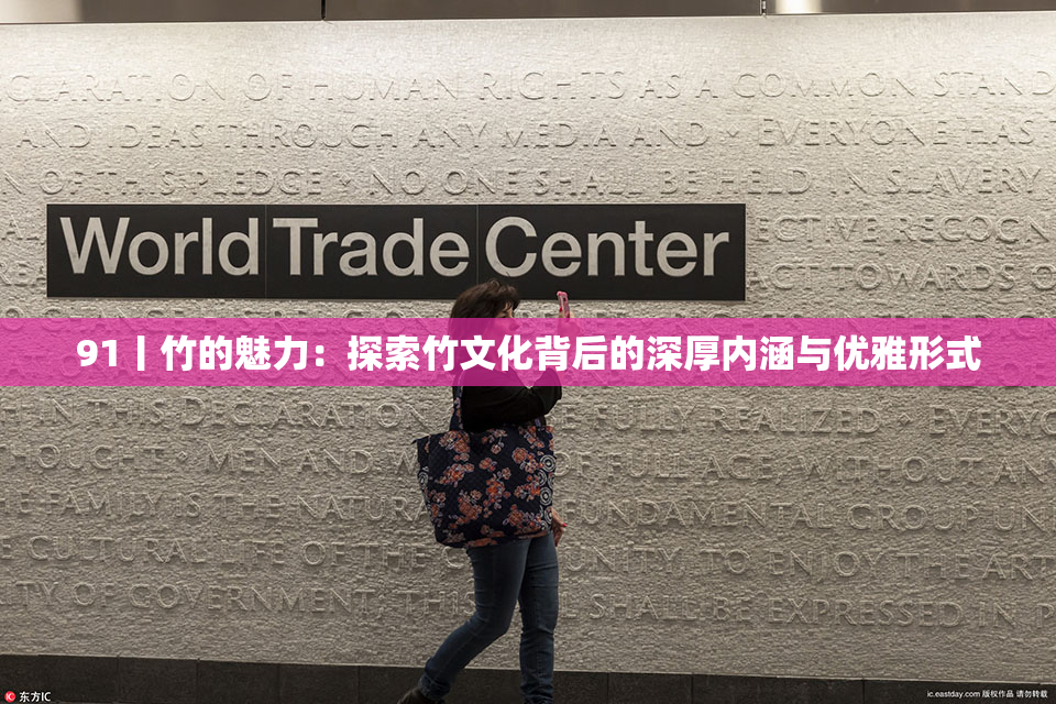 91丨竹的魅力：探索竹文化背后的深厚内涵与优雅形式