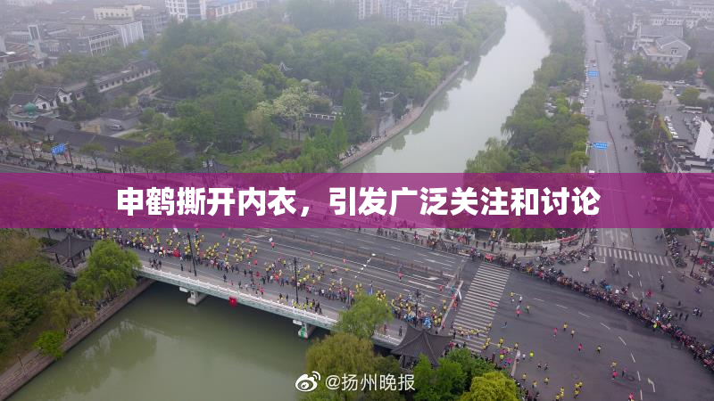 申鹤撕开内衣，引发广泛关注和讨论