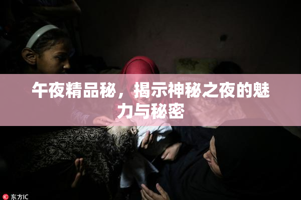 午夜精品秘，揭示神秘之夜的魅力与秘密
