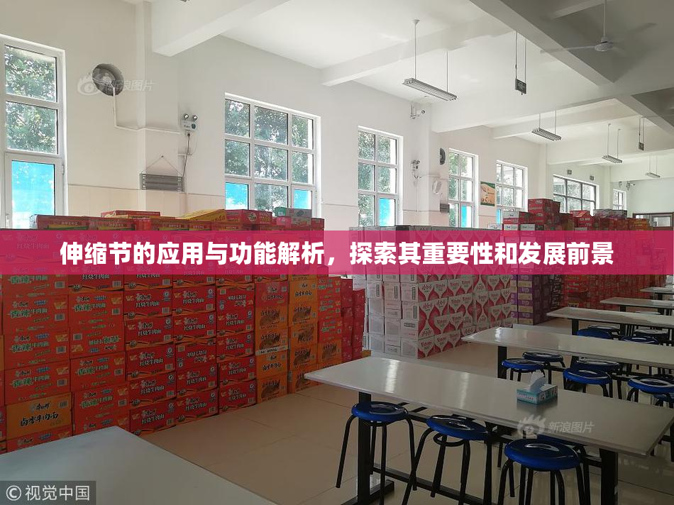 伸缩节的应用与功能解析，探索其重要性和发展前景