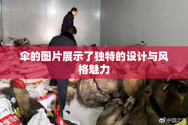 伞的图片展示了独特的设计与风格魅力