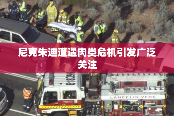 尼克朱迪遭遇肉类危机引发广泛关注
