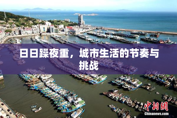 日日躁夜重，城市生活的节奏与挑战