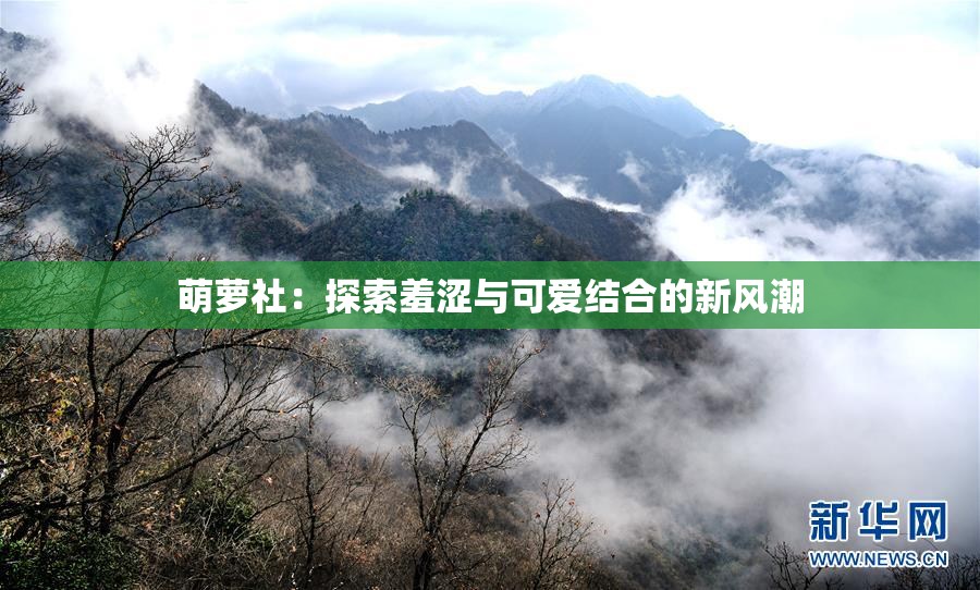 萌萝社：探索羞涩与可爱结合的新风潮