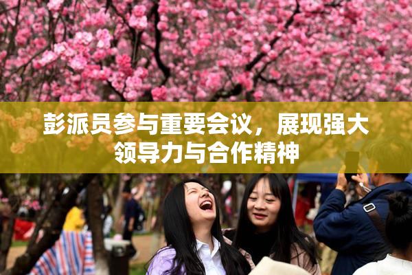 彭派员参与重要会议，展现强大领导力与合作精神
