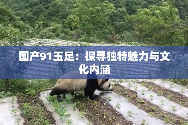 国产91玉足：探寻独特魅力与文化内涵
