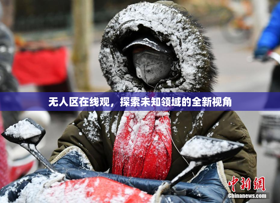 无人区在线观，探索未知领域的全新视角