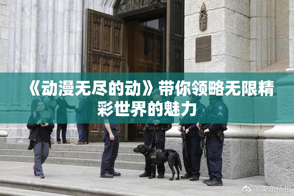 《动漫无尽的动》带你领略无限精彩世界的魅力