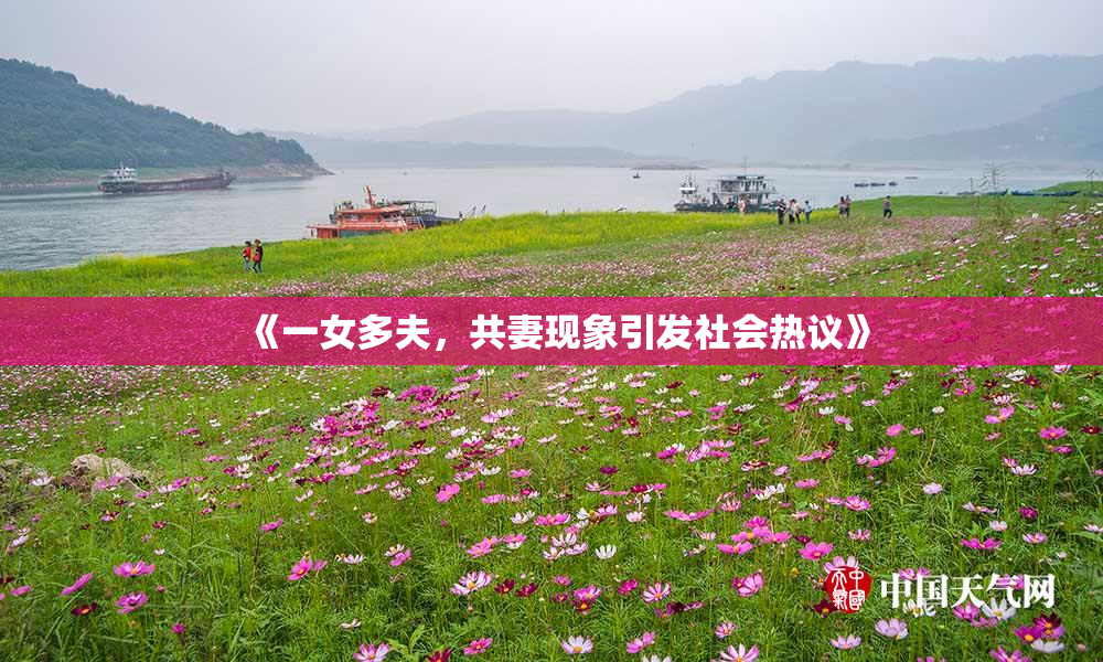 《一女多夫，共妻现象引发社会热议》