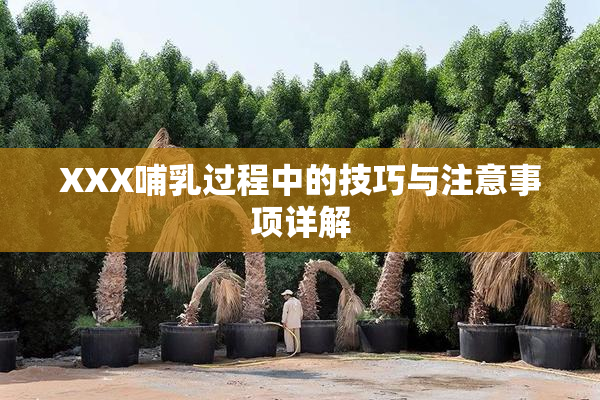 XXX哺乳过程中的技巧与注意事项详解
